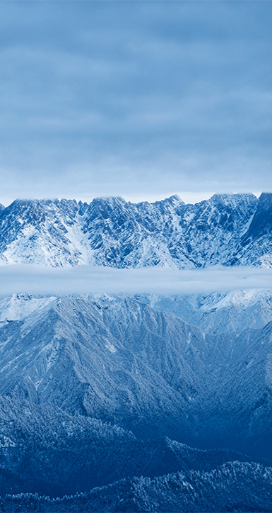 关于亿万先生mr